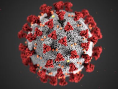 covid-19 3-D virus particle