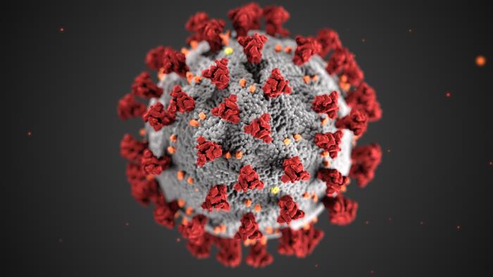 covid-19 3-D virus particle