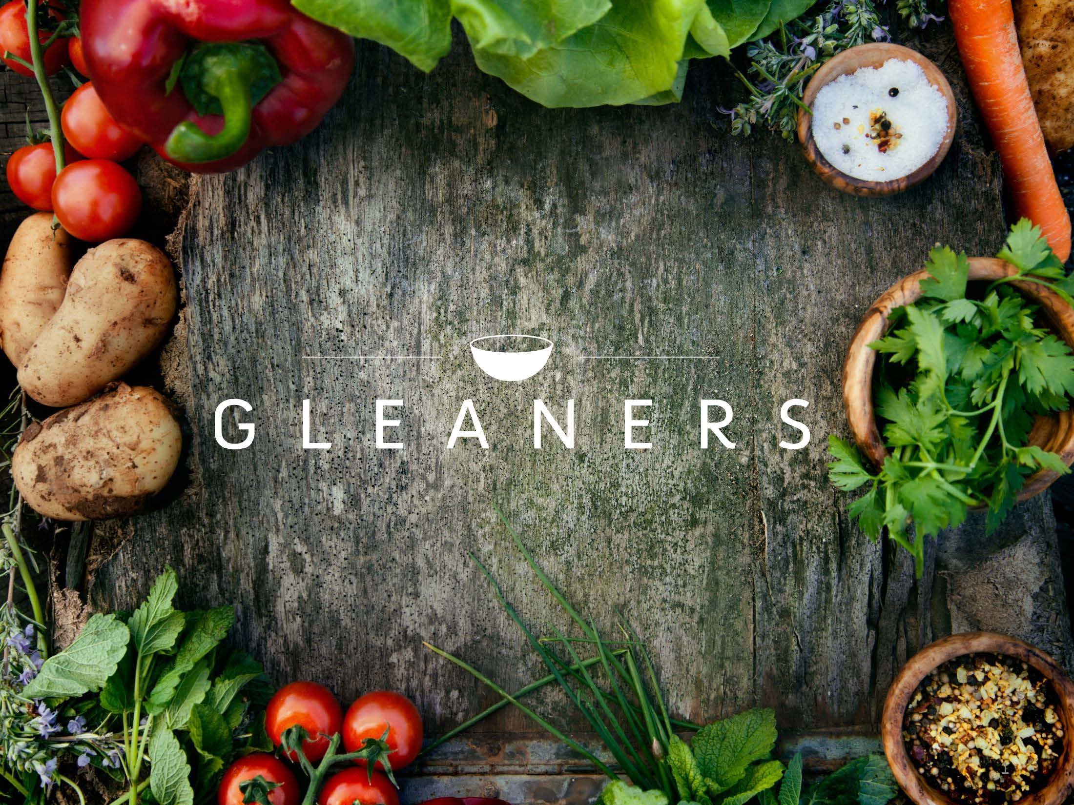 Gleaners Meals Supply: A Complete Assessment